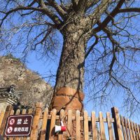 評論圖片 3