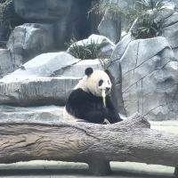 評論圖片 6