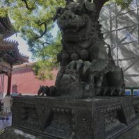 評論圖片 4