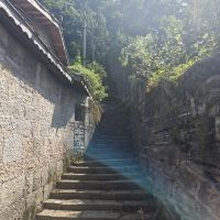 評論圖片 9