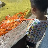 評論圖片 2