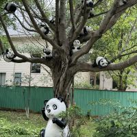 評論圖片 5