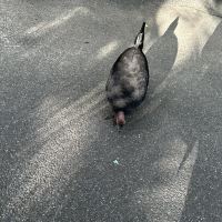 評論圖片 7