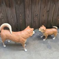 評論圖片 4