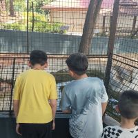 評論圖片 1