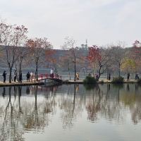 評論圖片 1