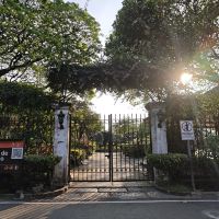 評論圖片 5
