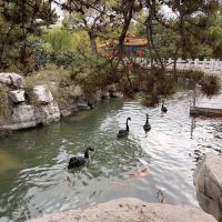 評論圖片 2