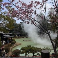 評論圖片 4