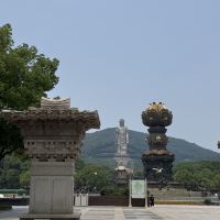 評論圖片 7