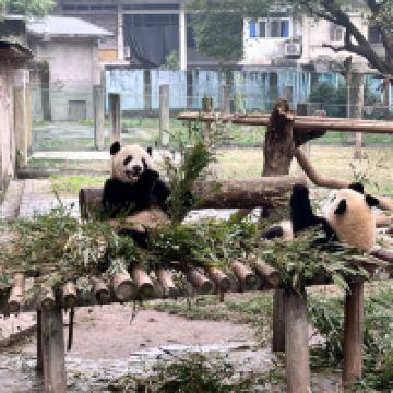 評論圖片 1