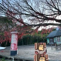 評論圖片 8
