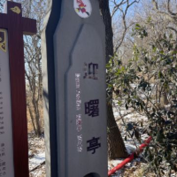 評論圖片 7