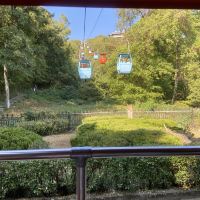 評論圖片 7