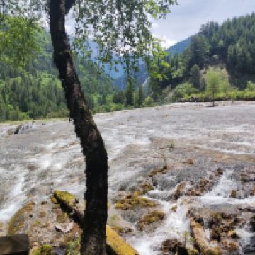 評論圖片 3