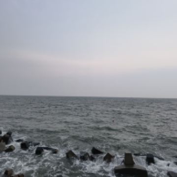評論圖片 5