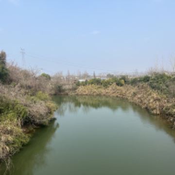 評論圖片 5