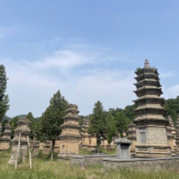 評論圖片 4