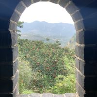 評論圖片 3