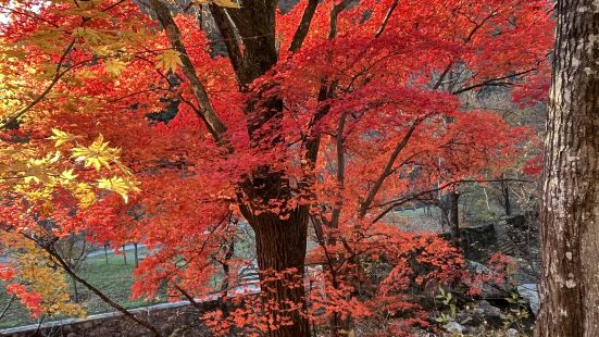 天桥沟景色秀丽，是天然的大氧吧。秋天的枫叶更是让人留恋忘返。