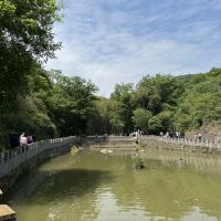 評論圖片 6