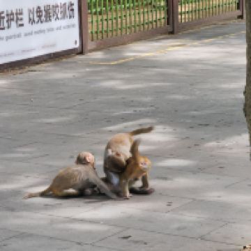 評論圖片 3