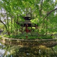 評論圖片 1