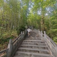 評論圖片 1