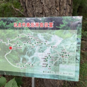 評論圖片 2