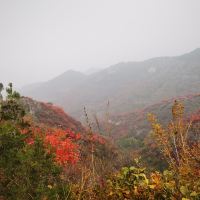 評論圖片 6