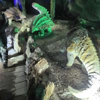 評論圖片 1