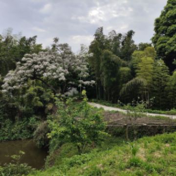評論圖片 9