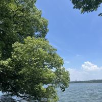 評論圖片 2