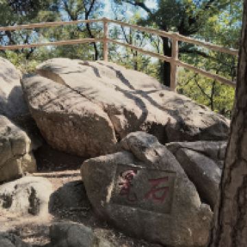 評論圖片 6