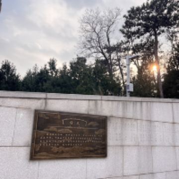 評論圖片 5