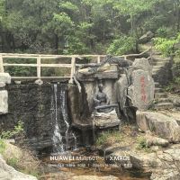 評論圖片 5