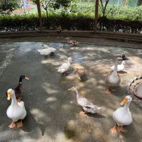 評論圖片 6