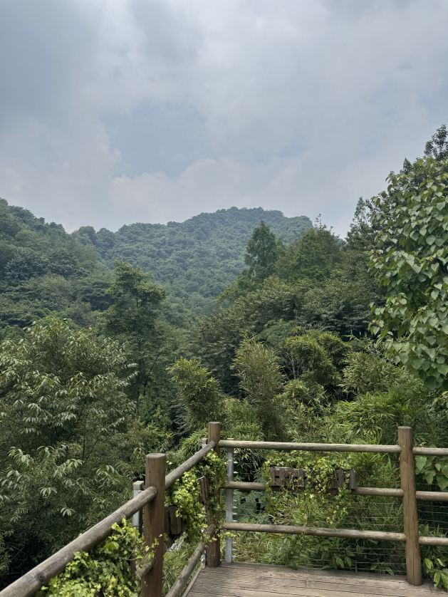 Panda Valley Tickets [2026] - Promos, Prices, Reviews & Opening