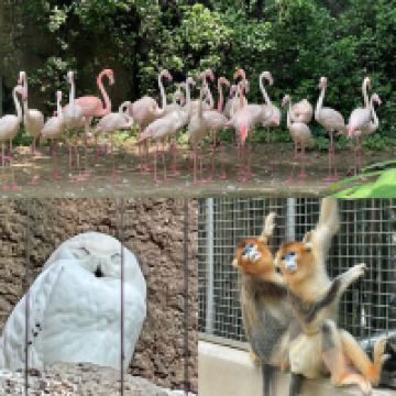 評論圖片 3