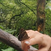 評論圖片 3