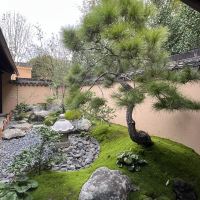 評論圖片 2