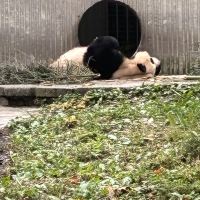 評論圖片 7
