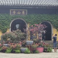 評論圖片 7
