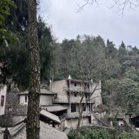 評論圖片 7