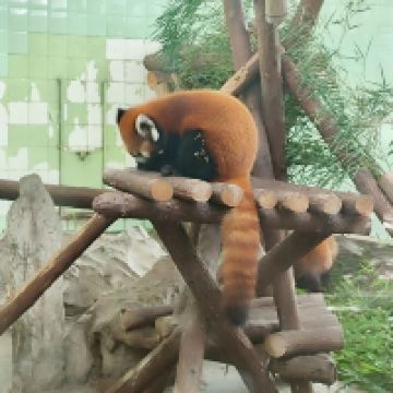 評論圖片 5