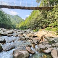 評論圖片 7