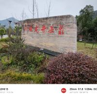 評論圖片 1