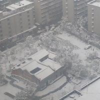 評論圖片 8