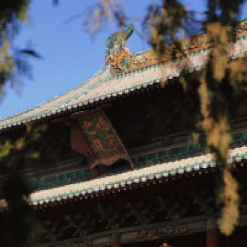 評論圖片 8