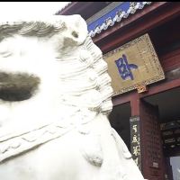 評論圖片 5